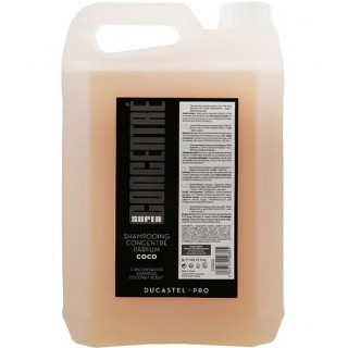 Сильноконцентрований шампунь для волосся Кокос Laboratoire Ducastel Subtil Shampoo 5000 мл
