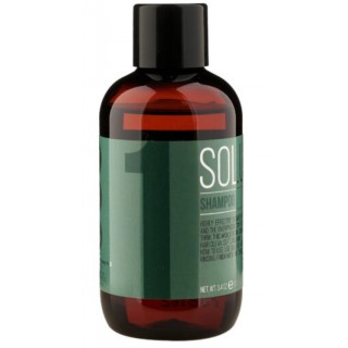 Шампунь для нормальної і жирної шкіри голови Id Hair Solutions № 1 300 мл