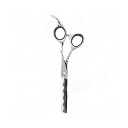 Ножиці для стрижки Proline E02TS-6.0 філірувальні