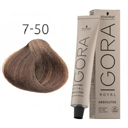Фарба для сивого волосся Schwarzkopf Igora Absolutes 7-50 Середньо-русявий золотистий натуральний 60 мл Фарба для сивого волосся Schwarzkopf Igora Absolutes 7-50 Середньо-русявий золотистий натуральний 60 мл