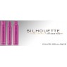 Лак для фарбованого волосся Schwarzkopf Professional Silhouette Color Brilliance Hairspray 500 мл
