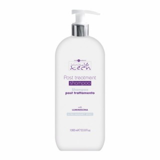 Шампунь з екстрактом шовку і алое вера Hair Company Inimitable Style Post Treatment Shampoo 1000 мл