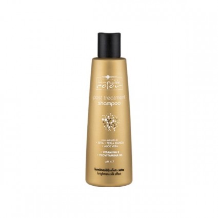 Шампунь з екстрактом шовку й алое вера Hair Company Inimitable Color 250 мл