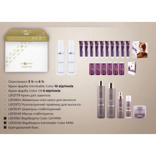 Базовий набір Hair Company Golden Box professional