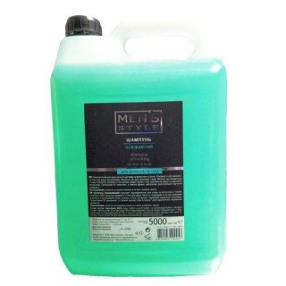 Шампунь для чоловіків освіжний ProfiStyle Refreshing 5000 мл